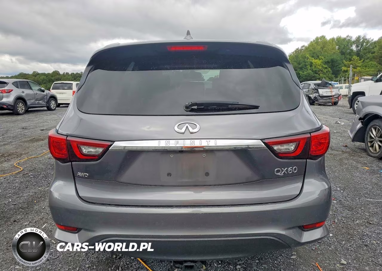 2019 Infiniti Qx60 Pure VIN:5N1DL0MM2KC559133 - 6