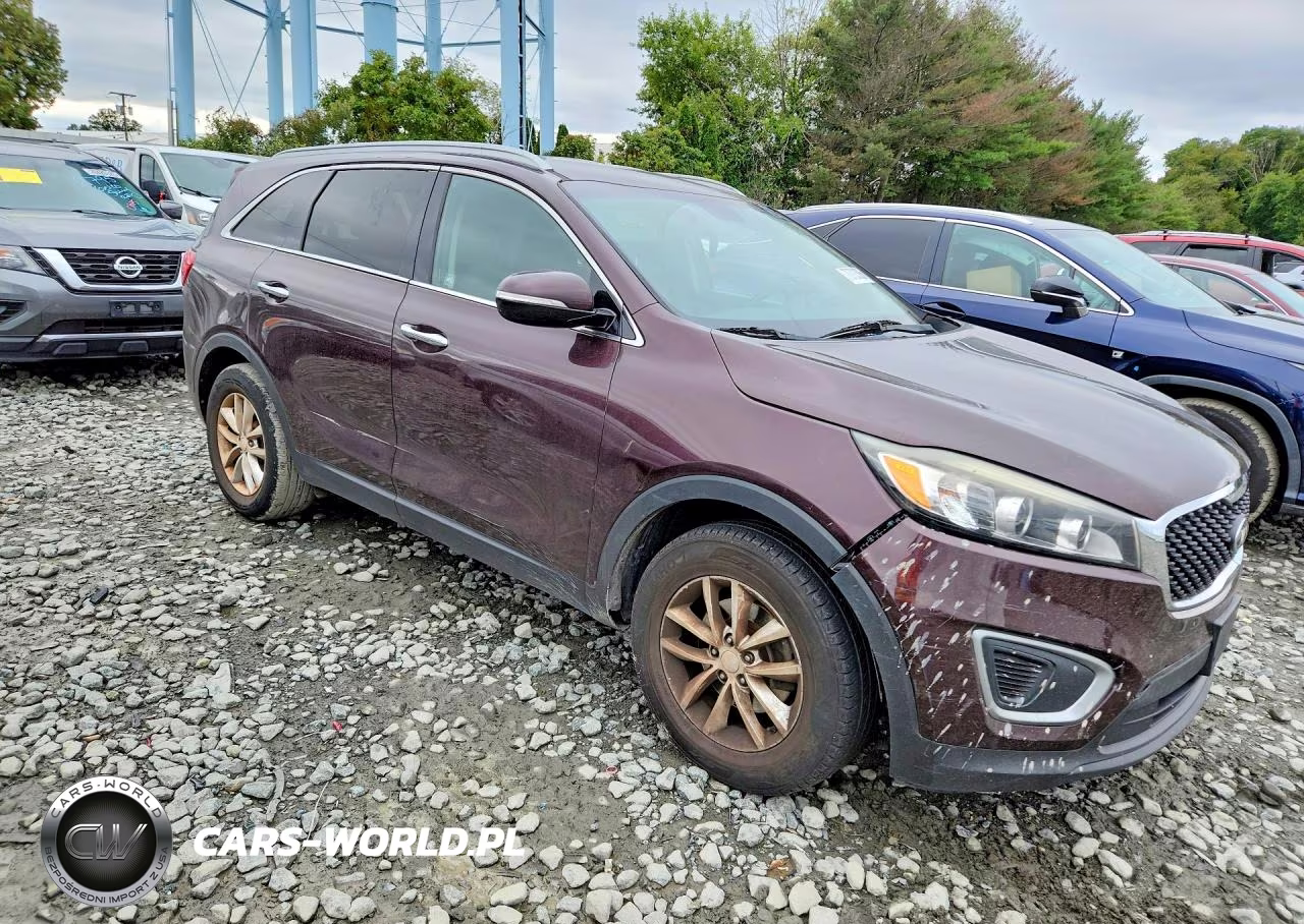 2016 Kia Sorento Lx VIN:5XYPG4A38GG028479 - 4