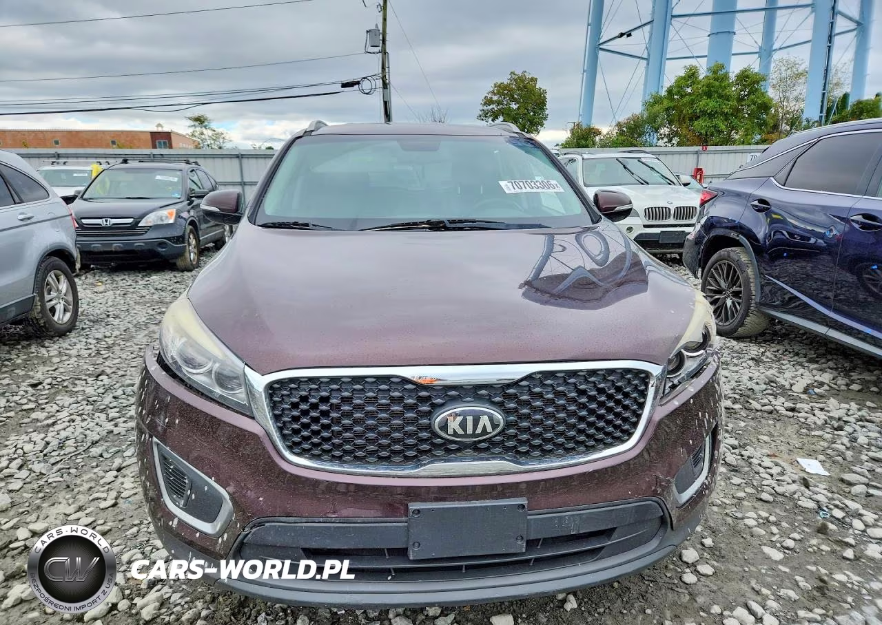 2016 Kia Sorento Lx VIN:5XYPG4A38GG028479 - 5