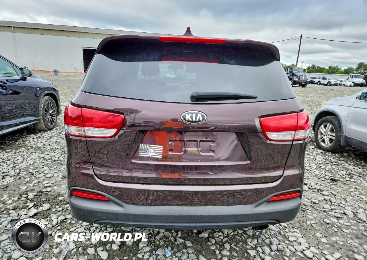 2016 Kia Sorento Lx VIN:5XYPG4A38GG028479 - 6