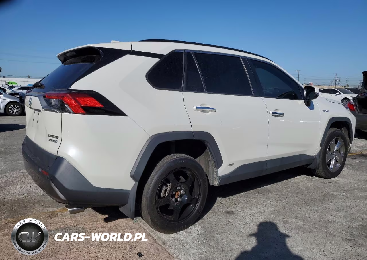 2019 Toyota Rav4 Limited VIN:2T3DWRFV1KW038889 - 3