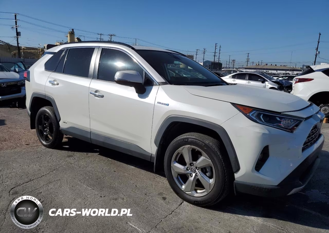 2019 Toyota Rav4 Limited VIN:2T3DWRFV1KW038889 - 4