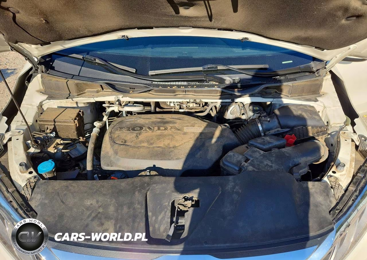 2019 Honda Odyssey Exl VIN:5FNRL6H79KB030282 - 12