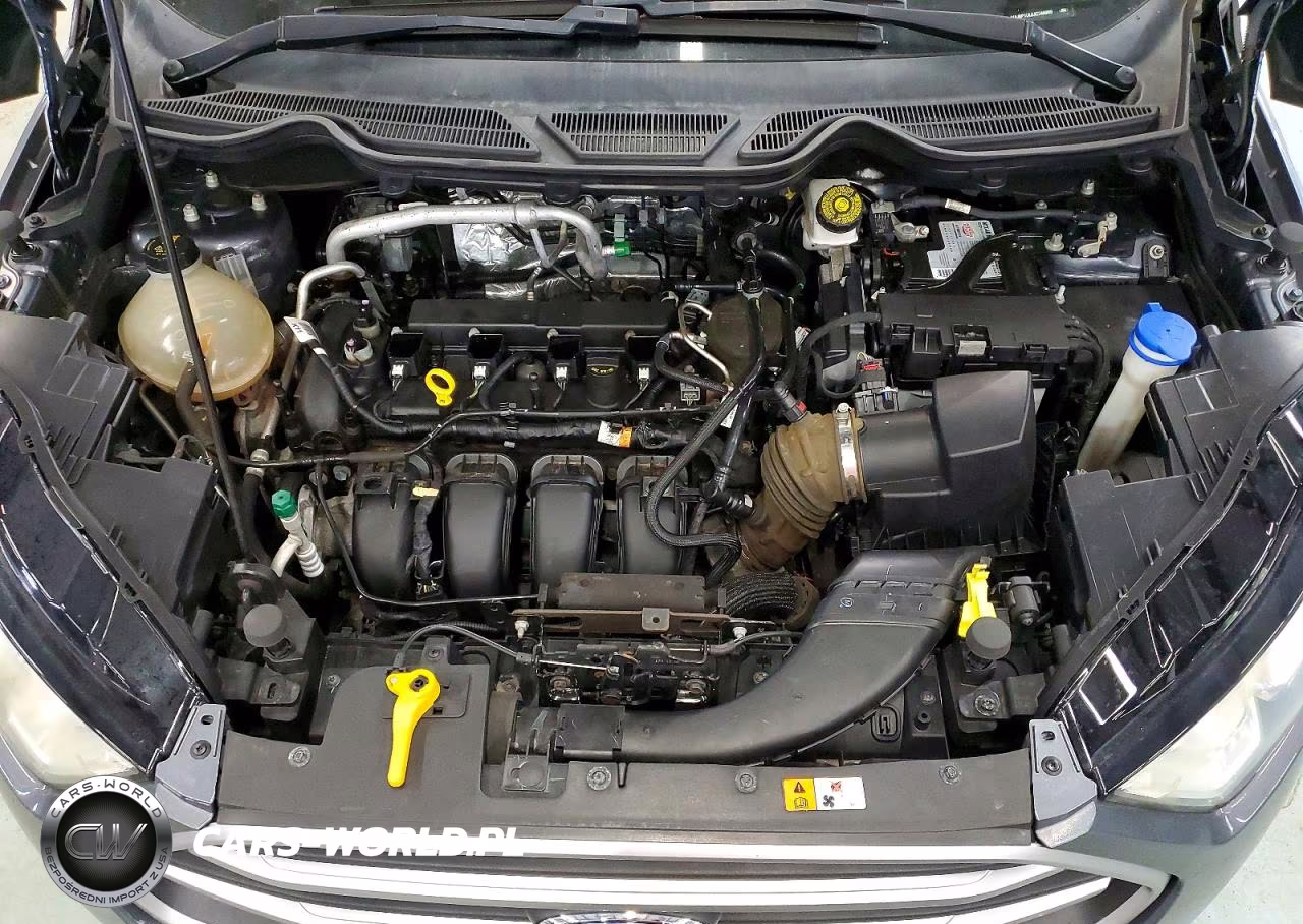 2018 Ford Ecosport Se VIN:MAJ6P1UL0JC248965 - 12