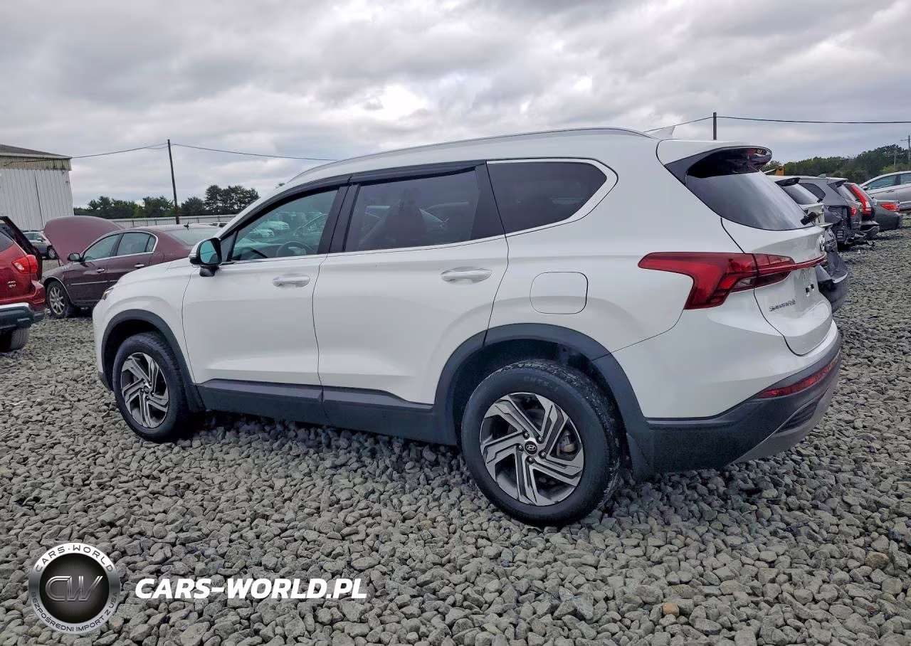2023 Hyundai Santa Fe Sel VIN:5NMS2DAJ3PH533634 - 2