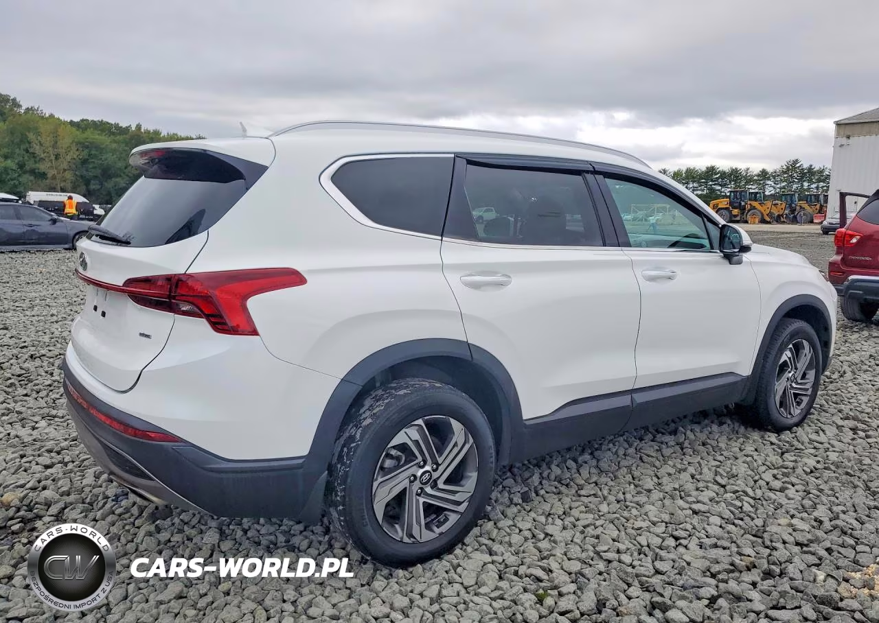 2023 Hyundai Santa Fe Sel VIN:5NMS2DAJ3PH533634 - 3