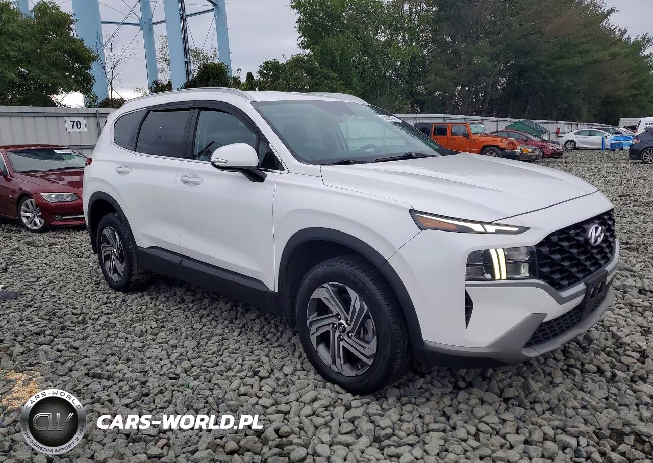 2023 Hyundai Santa Fe Sel VIN:5NMS2DAJ3PH533634 - 4