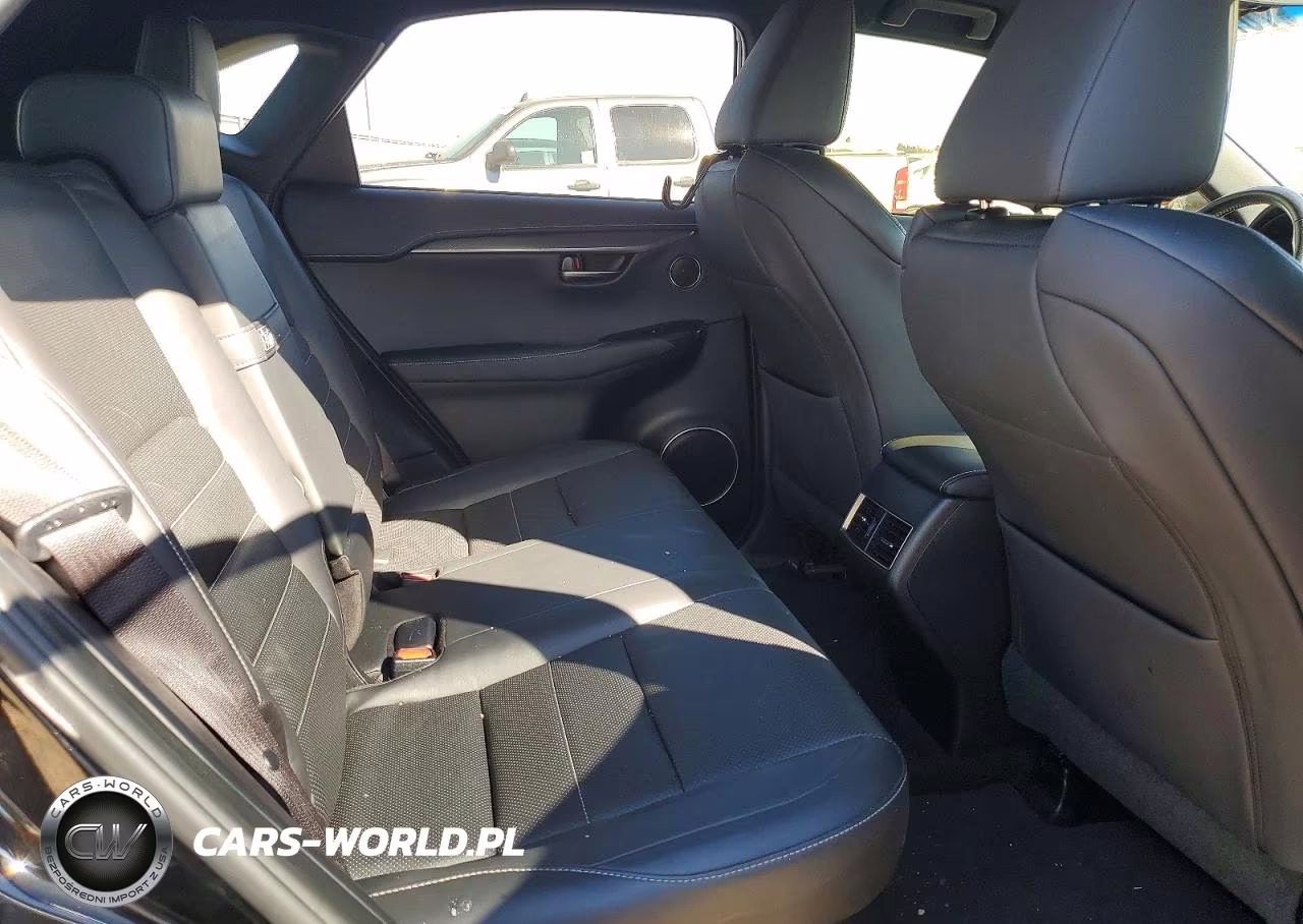 2018 Lexus Nx 300 F Sport VIN:JTJYARBZ2J2095762 - 10