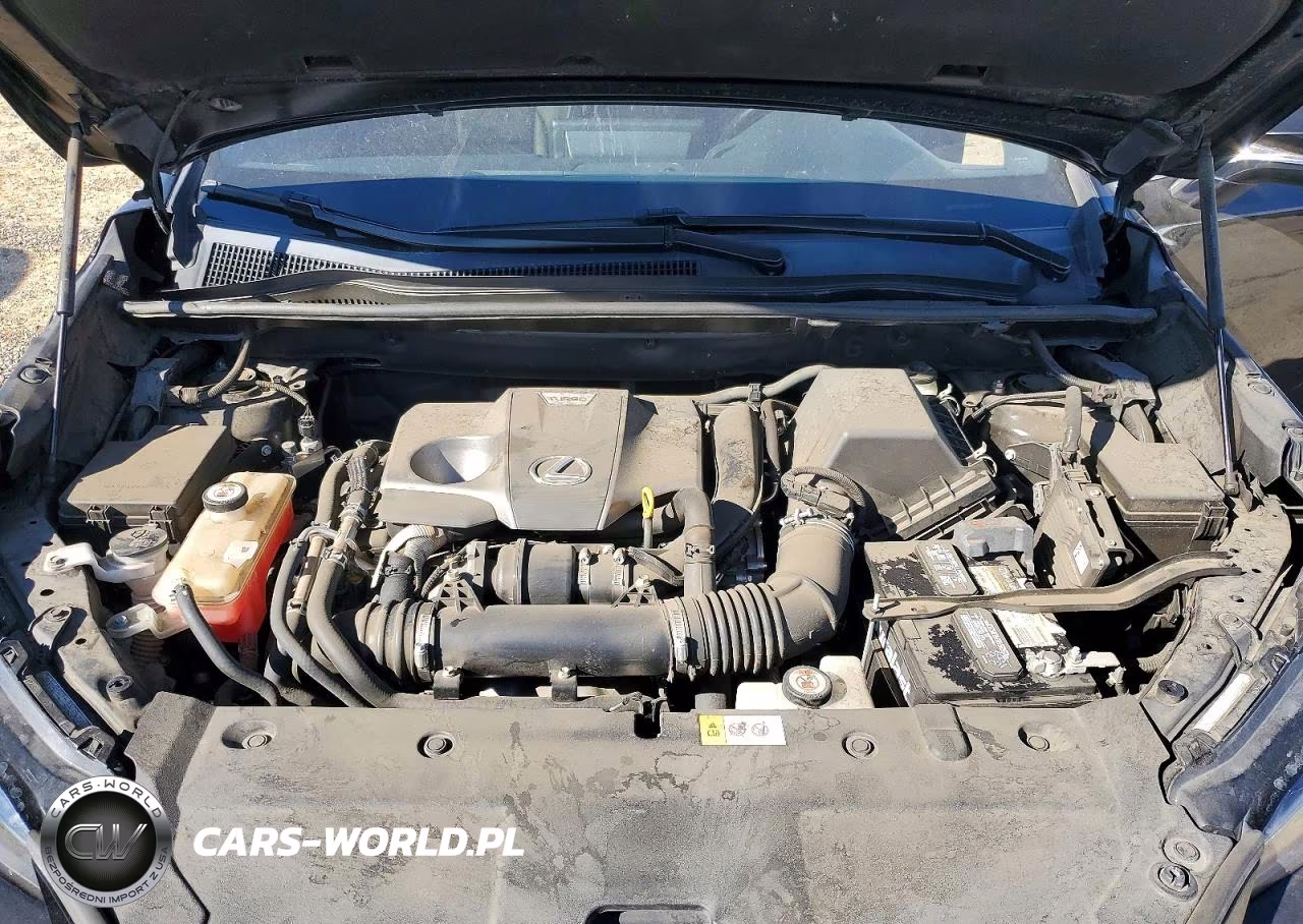 2018 Lexus Nx 300 F Sport VIN:JTJYARBZ2J2095762 - 11