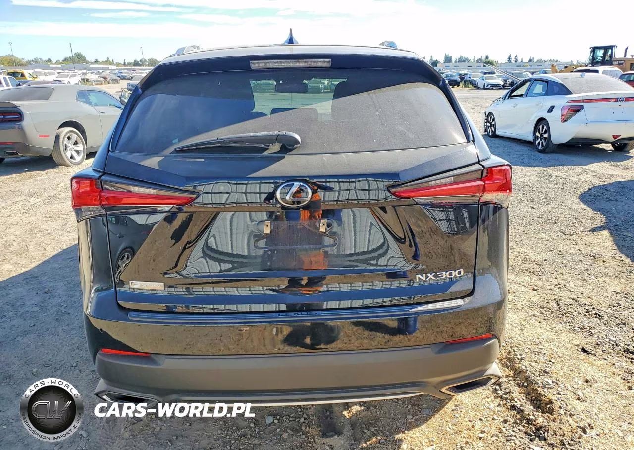 2018 Lexus Nx 300 F Sport VIN:JTJYARBZ2J2095762 - 6