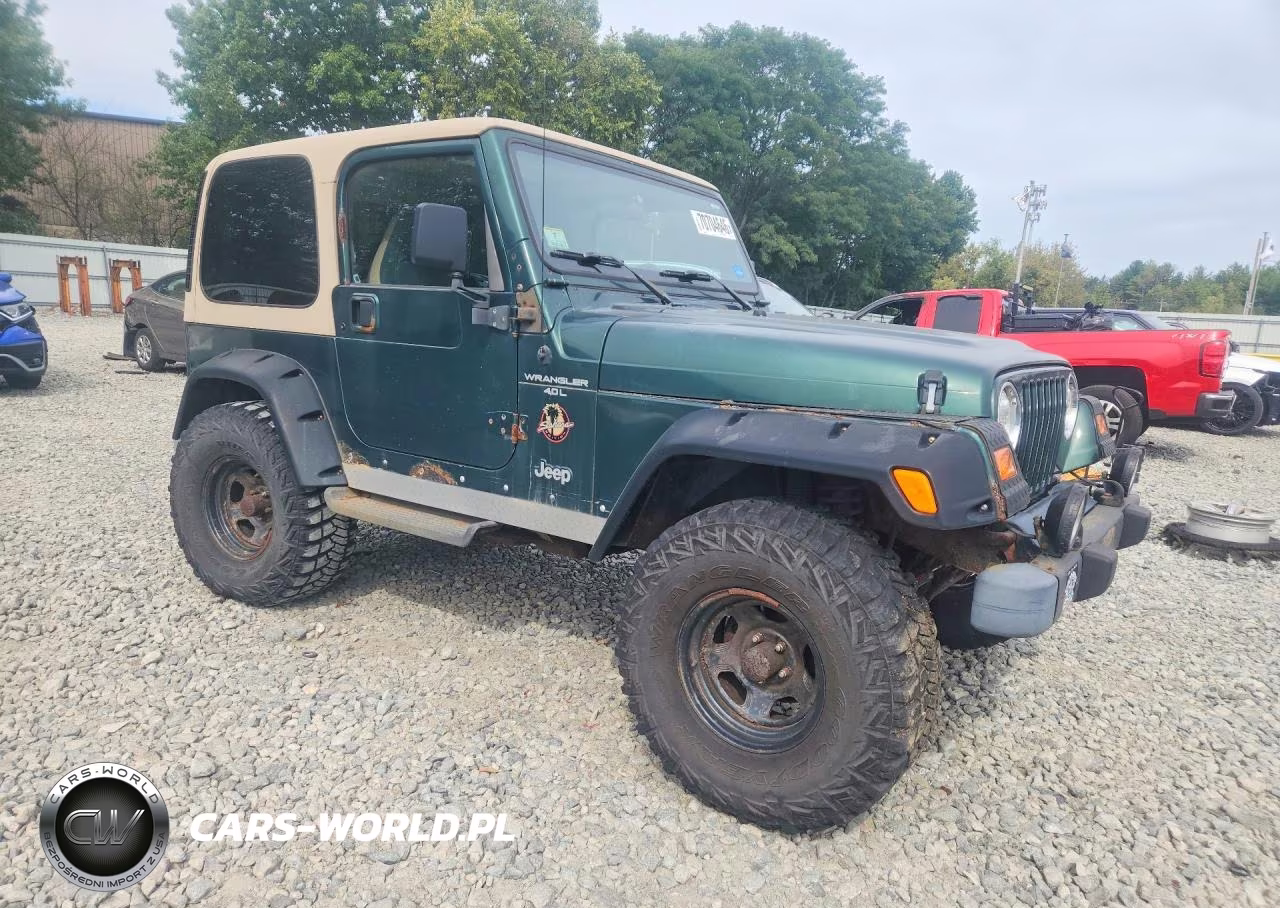 1999 Jeep Wrangler - Tj Sahara VIN:1J4FY49SXXP482292 - 4
