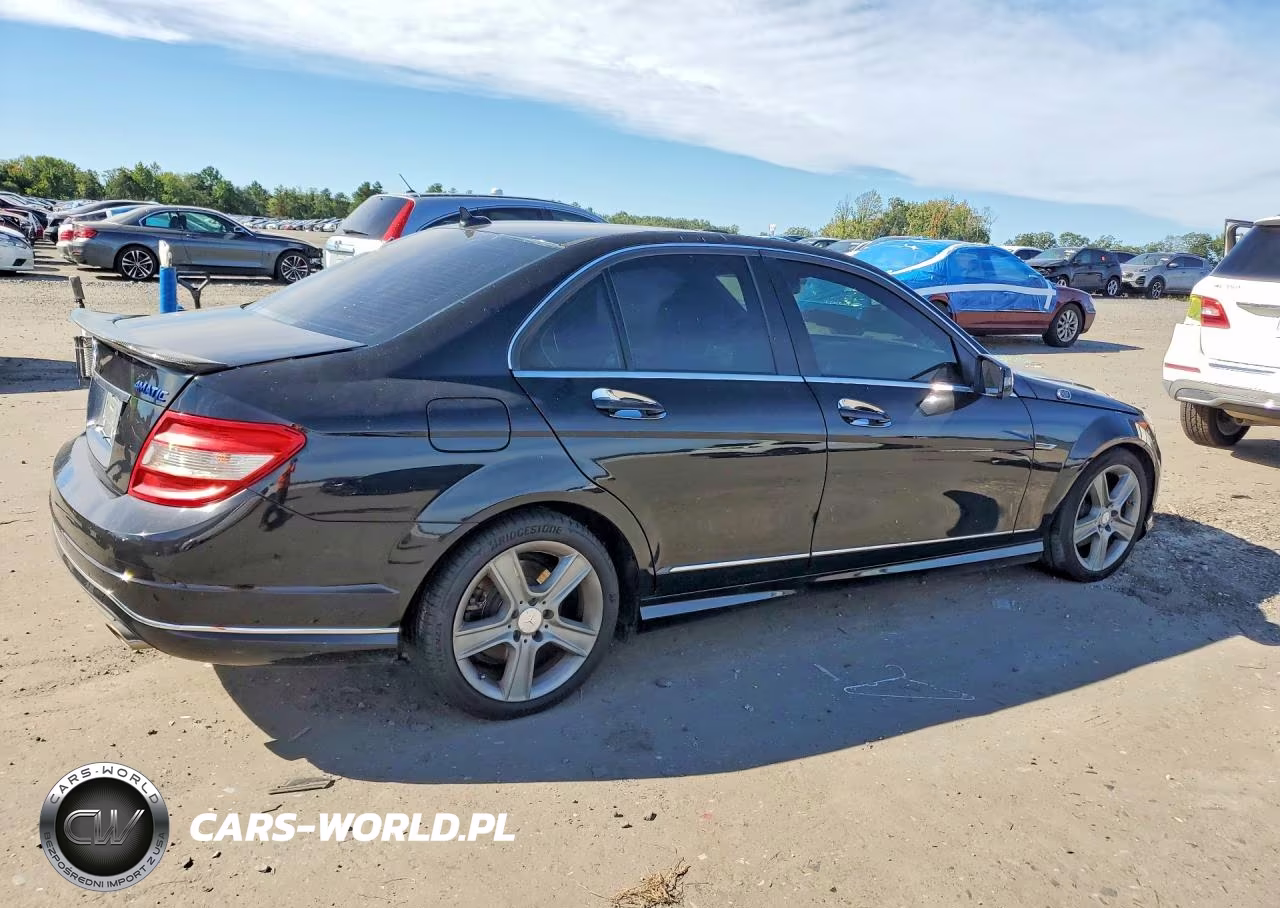2010 Mercedes-Benz C 300 4Matic VIN:WDDGF8BB1AR131046 - 3