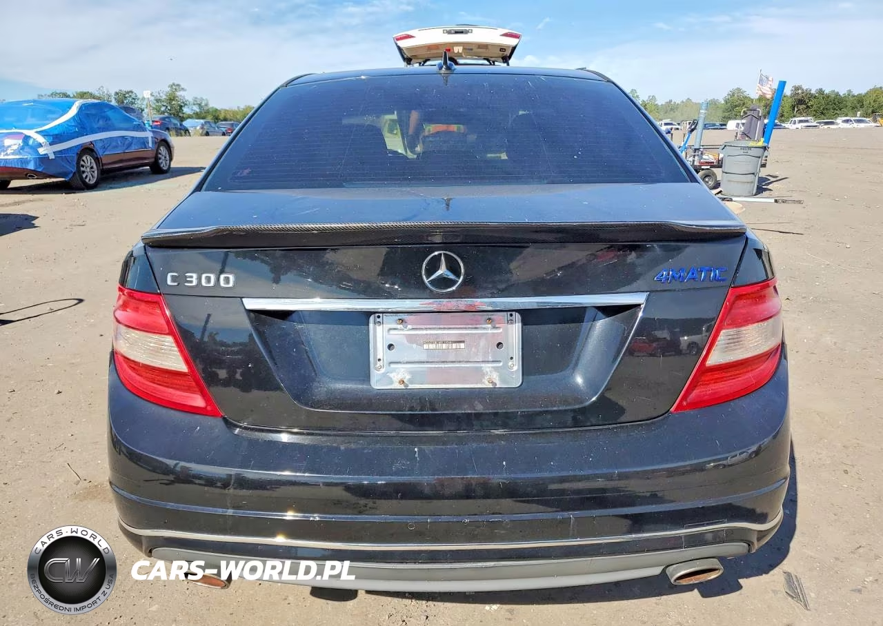 2010 Mercedes-Benz C 300 4Matic VIN:WDDGF8BB1AR131046 - 6