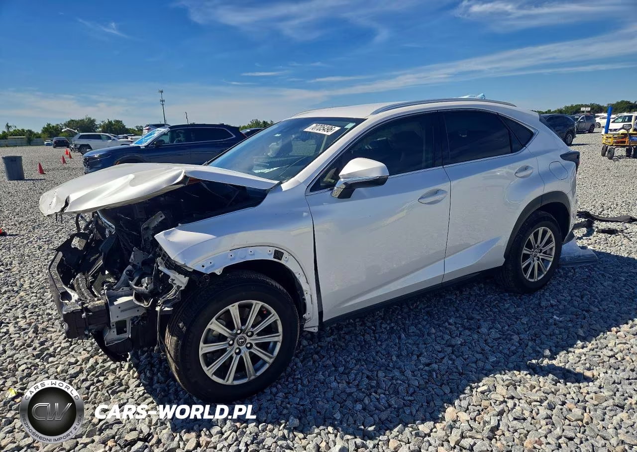 2020 Lexus Nx 300 Base VIN:JTJAARBZ2L5010793 - 1