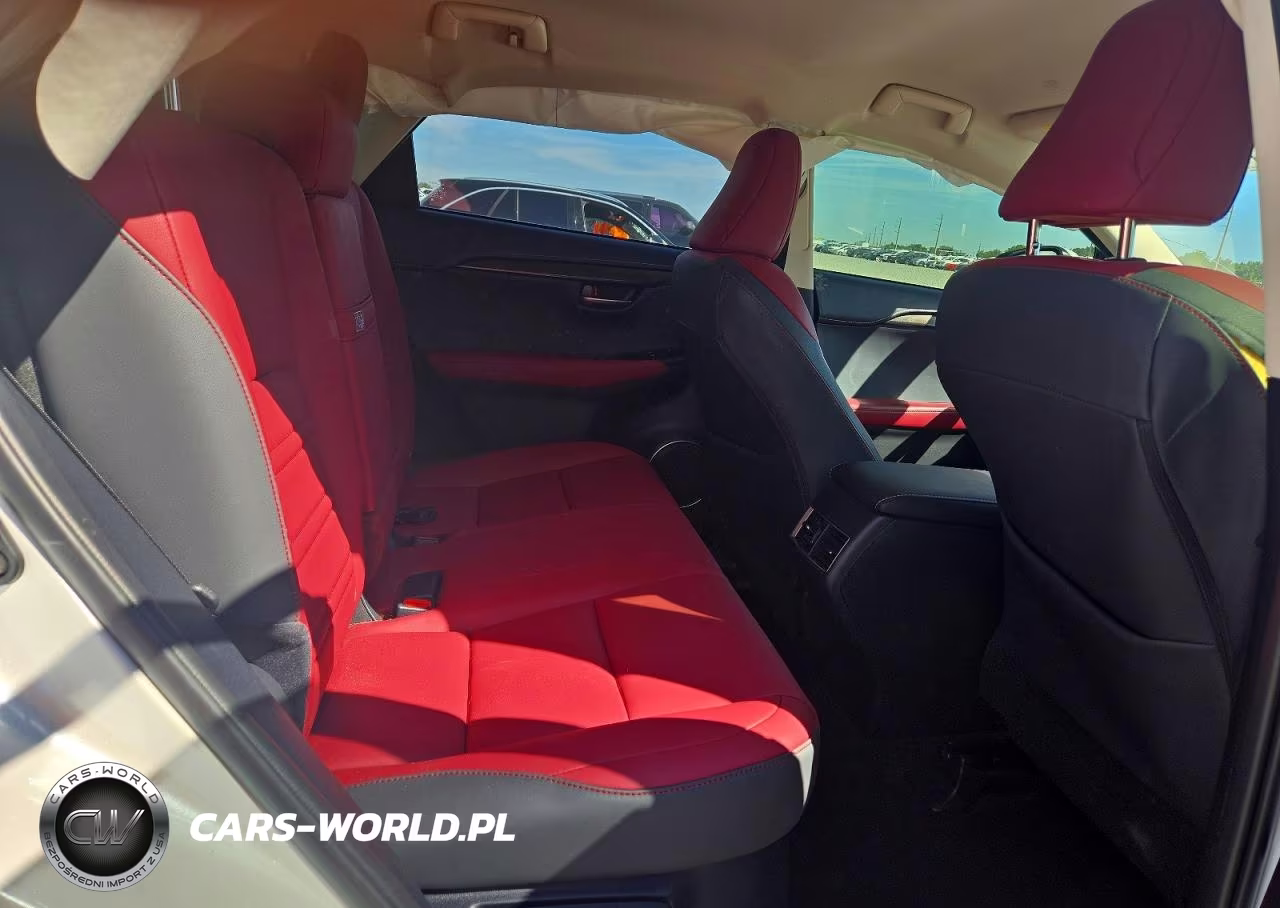 2020 Lexus Nx 300 Base VIN:JTJAARBZ2L5010793 - 11