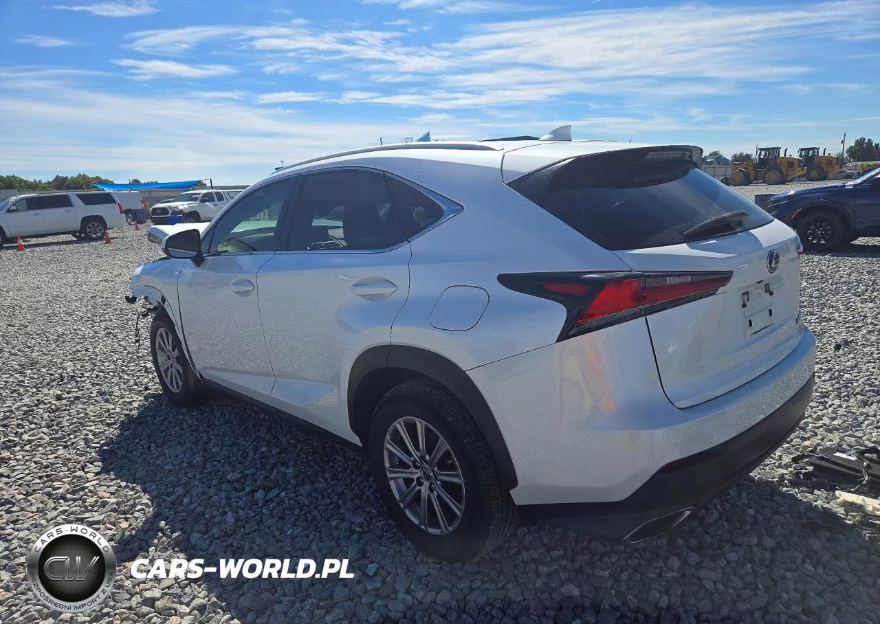 2020 Lexus Nx 300 Base VIN:JTJAARBZ2L5010793 - 2