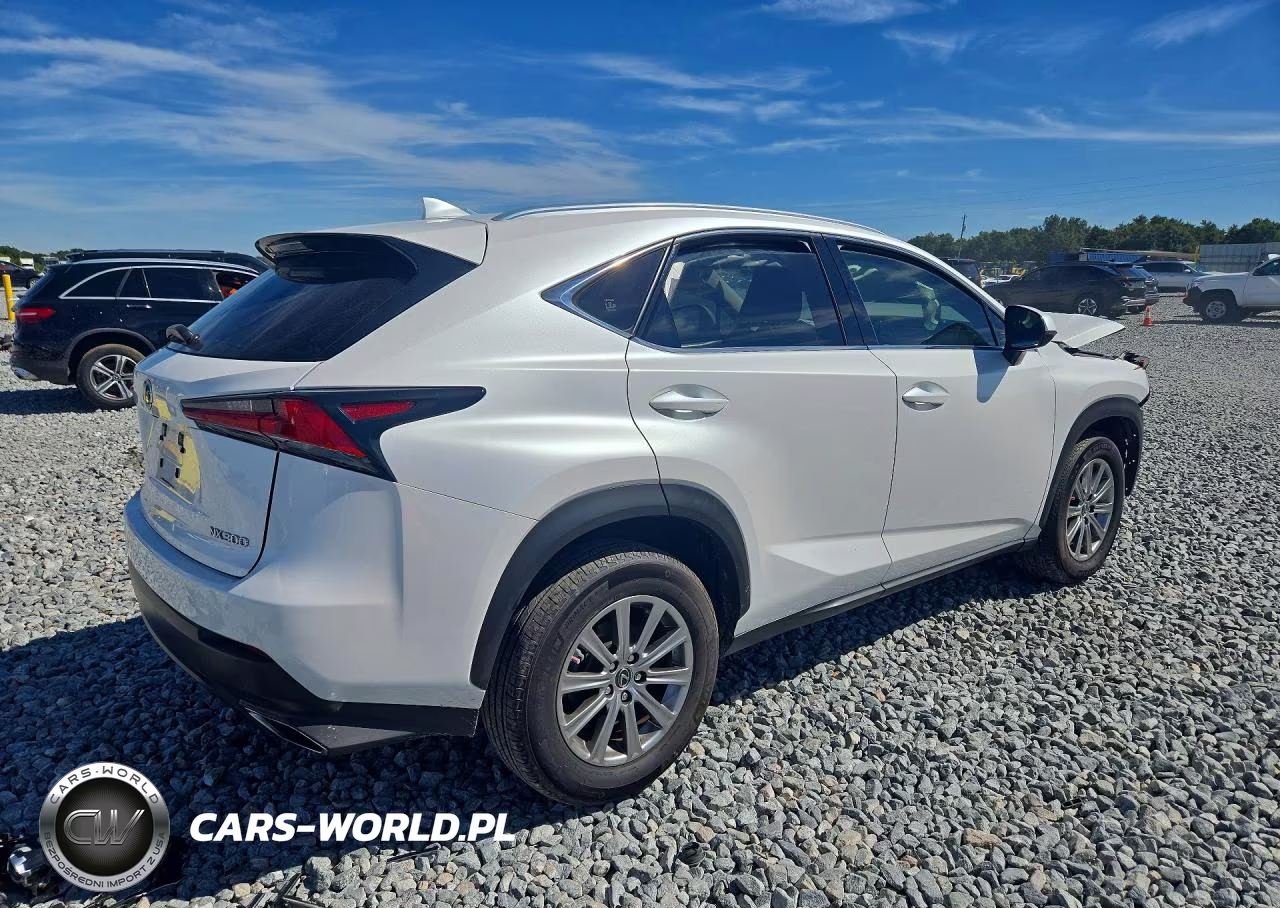 2020 Lexus Nx 300 Base VIN:JTJAARBZ2L5010793 - 3
