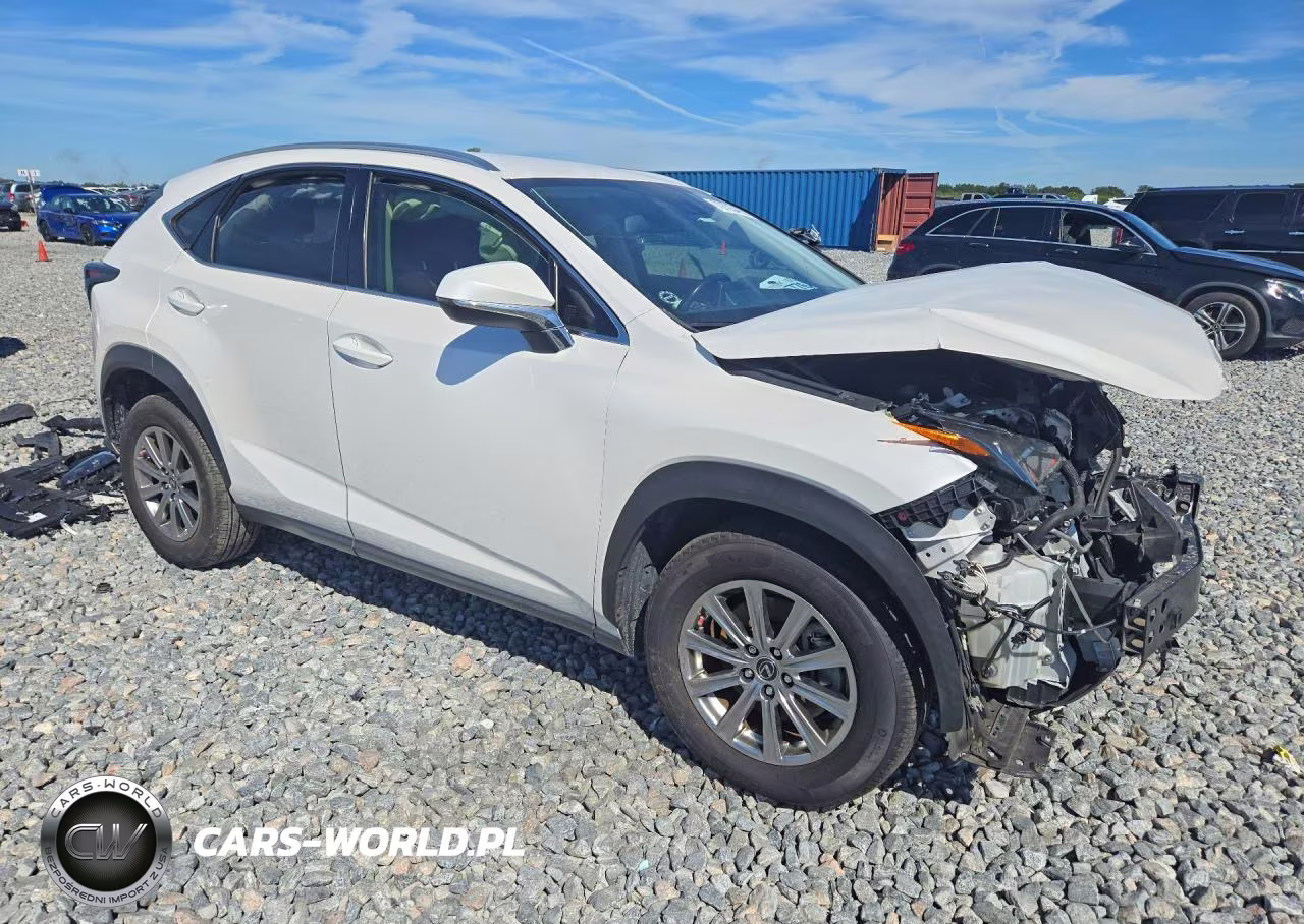 2020 Lexus Nx 300 Base VIN:JTJAARBZ2L5010793 - 4