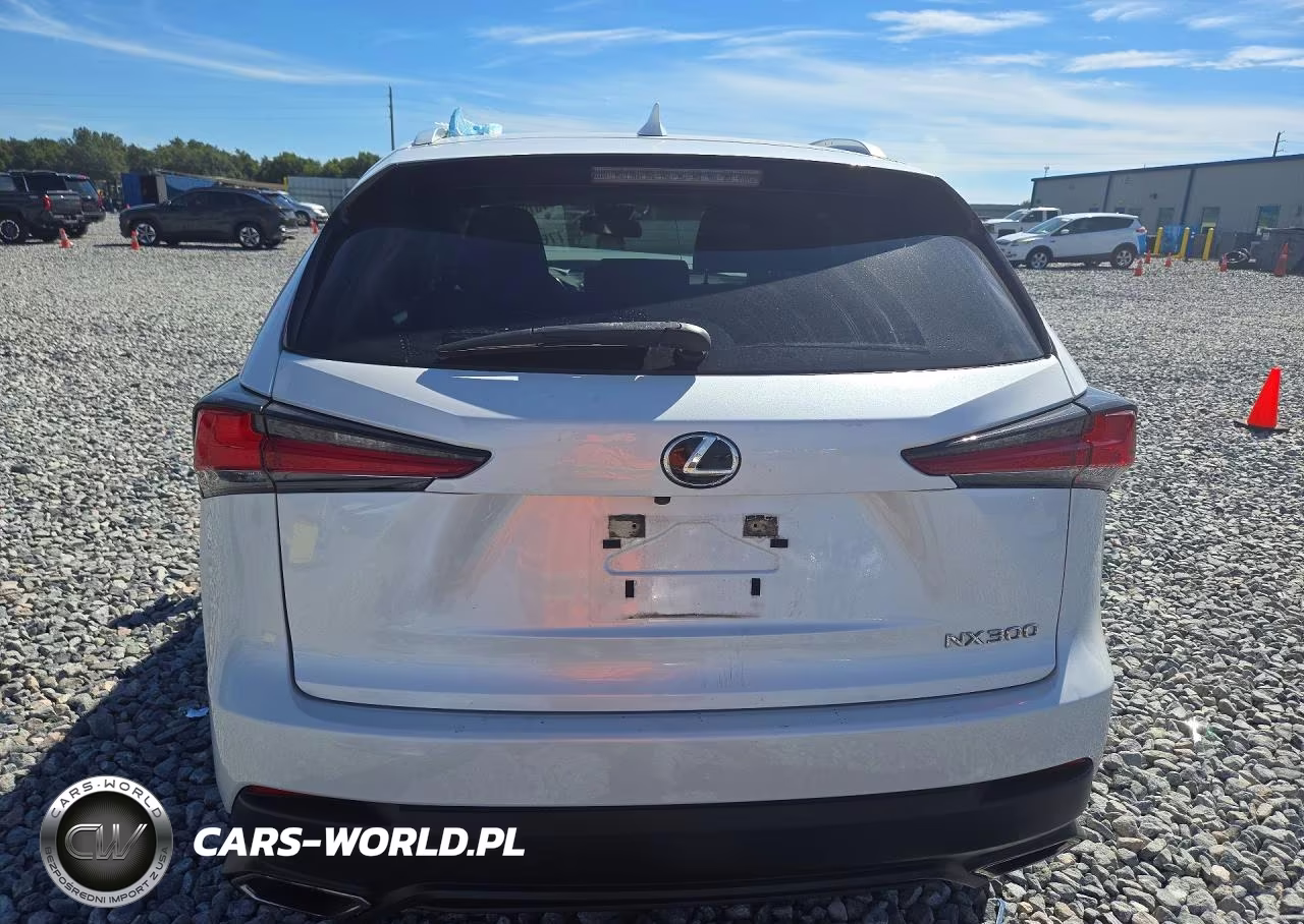 2020 Lexus Nx 300 Base VIN:JTJAARBZ2L5010793 - 6