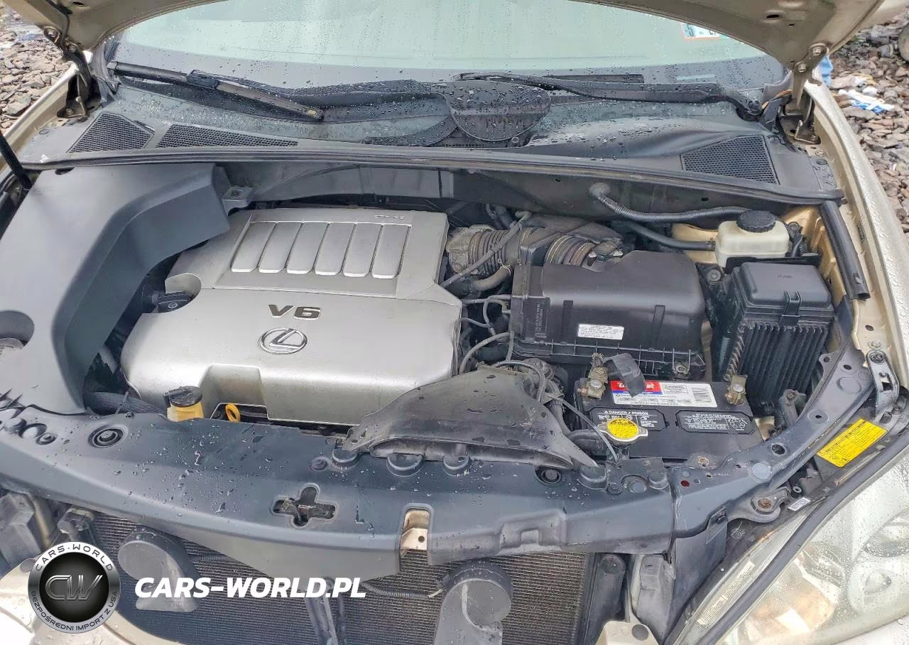 2007 Lexus Rx 350 VIN:2T2HK31U47C021705 - 12