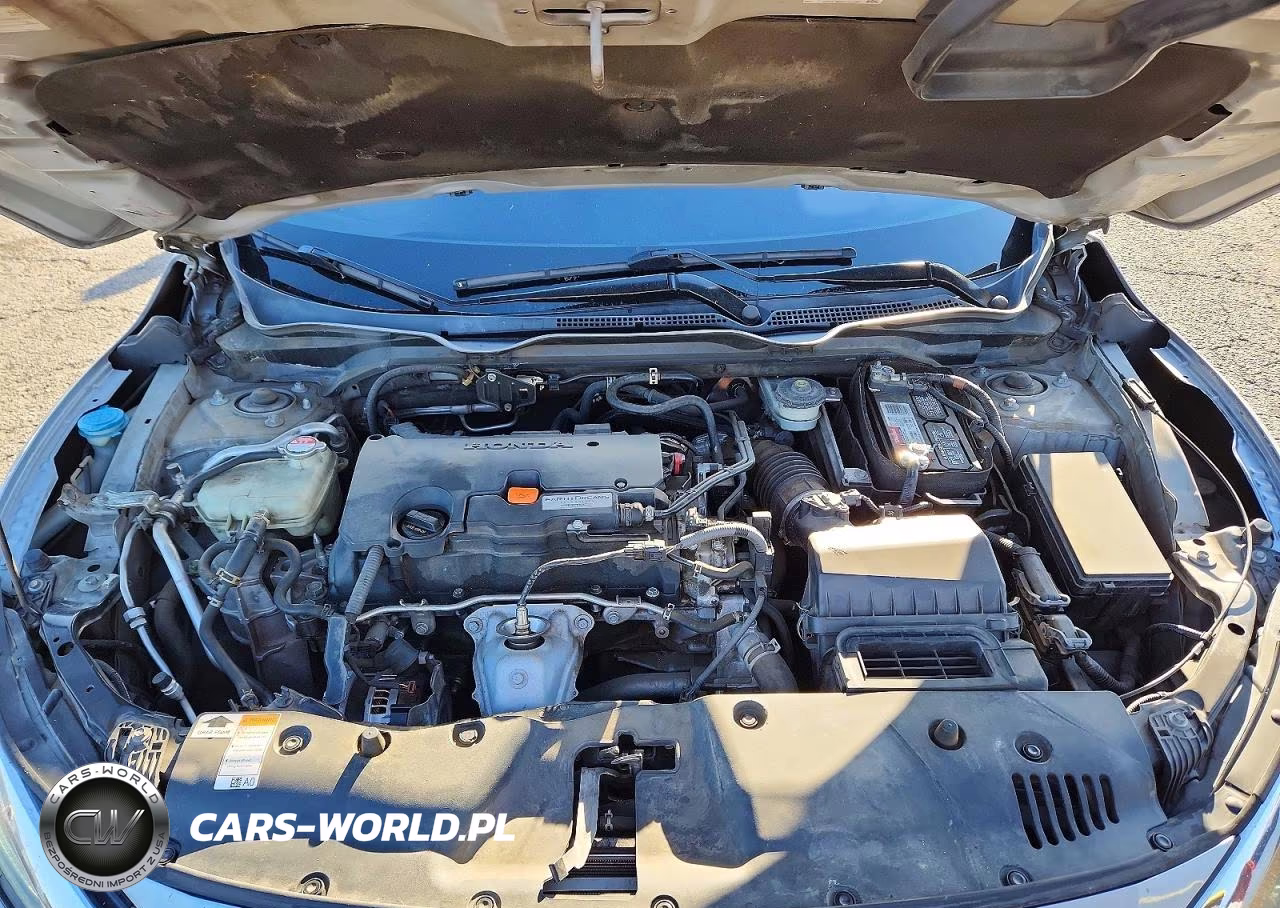 2017 Honda Civic Lx VIN:2HGFC2F5XHH566238 - 11
