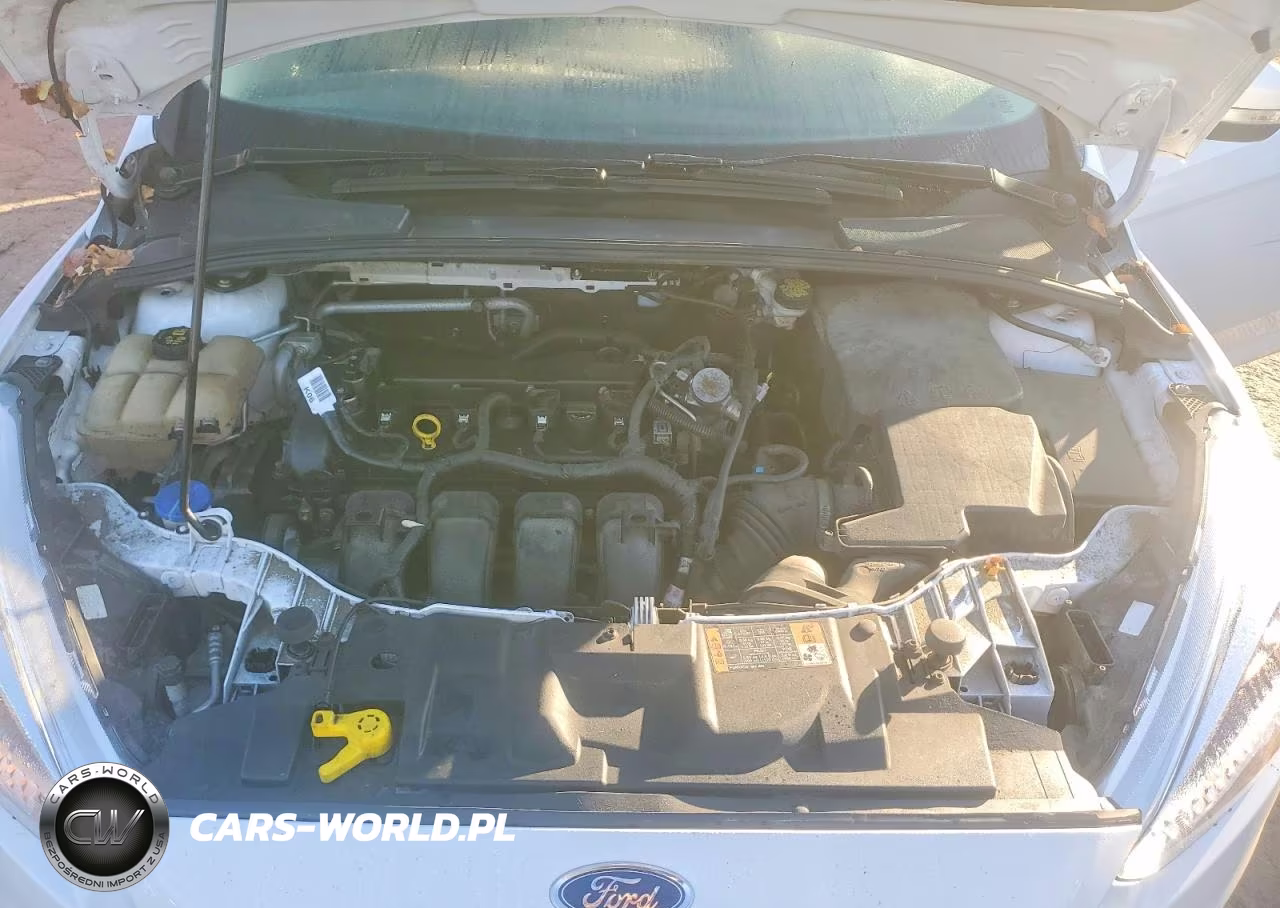 2016 Ford Focus Se VIN:1FADP3F24GL382958 - 11