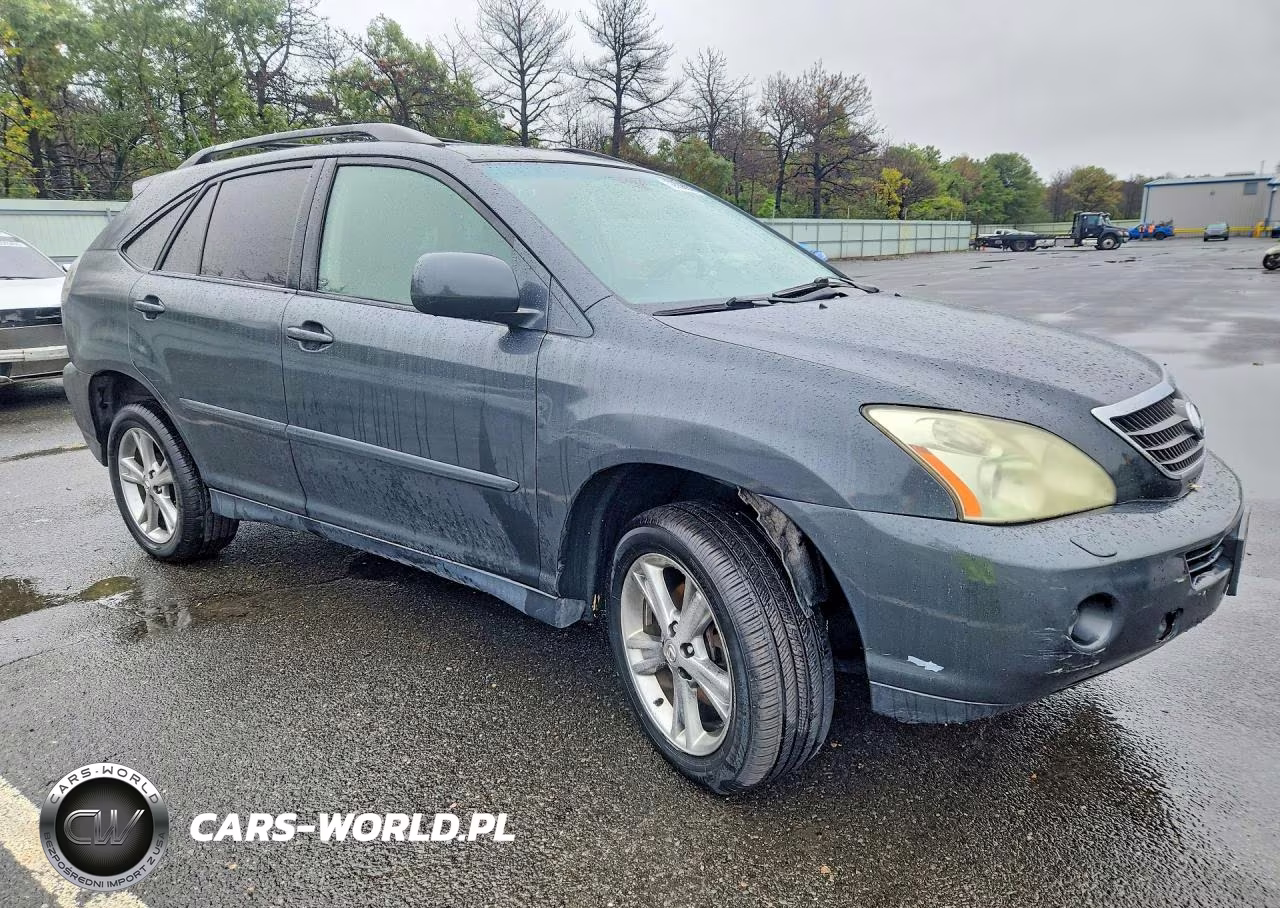 2006 Lexus Rx 400 VIN:JTJHW31U060005435 - 4
