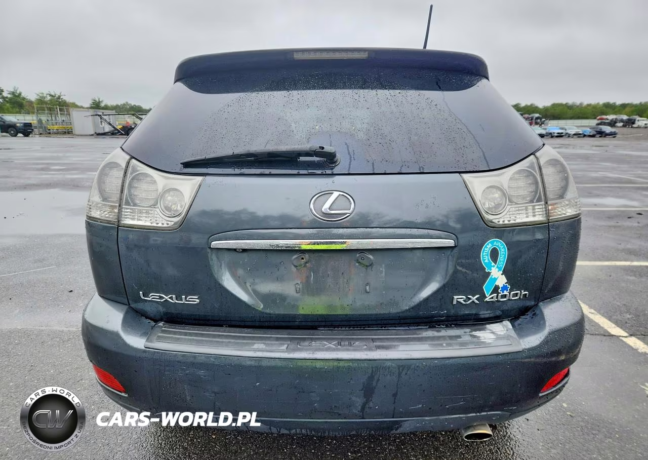 2006 Lexus Rx 400 VIN:JTJHW31U060005435 - 6