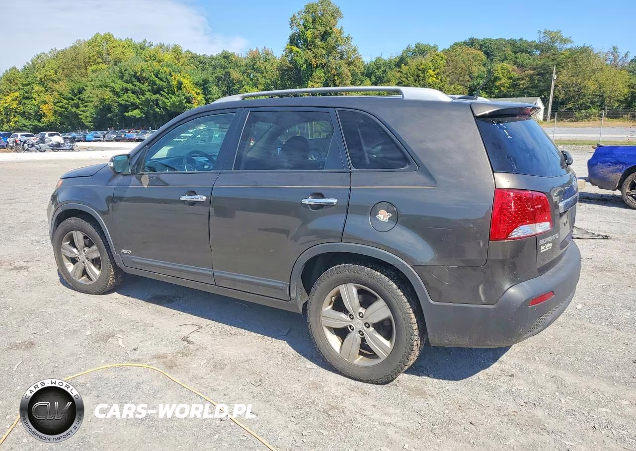 2013 Kia Sorento VIN:5XYKUCA68DG409381 - 2