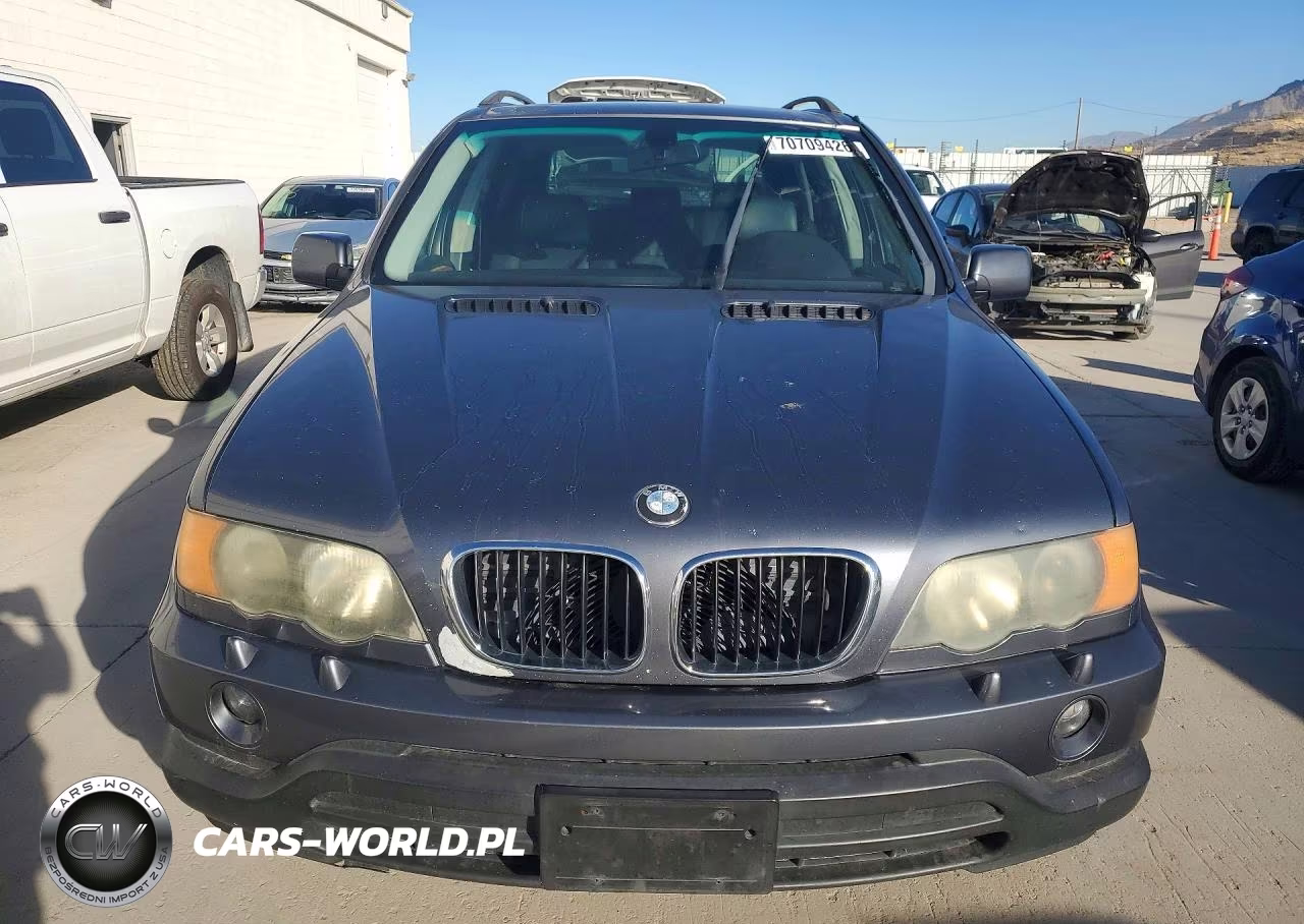 2003 BMW X5 3.0I VIN:5UXFA53543LV78227 - 5