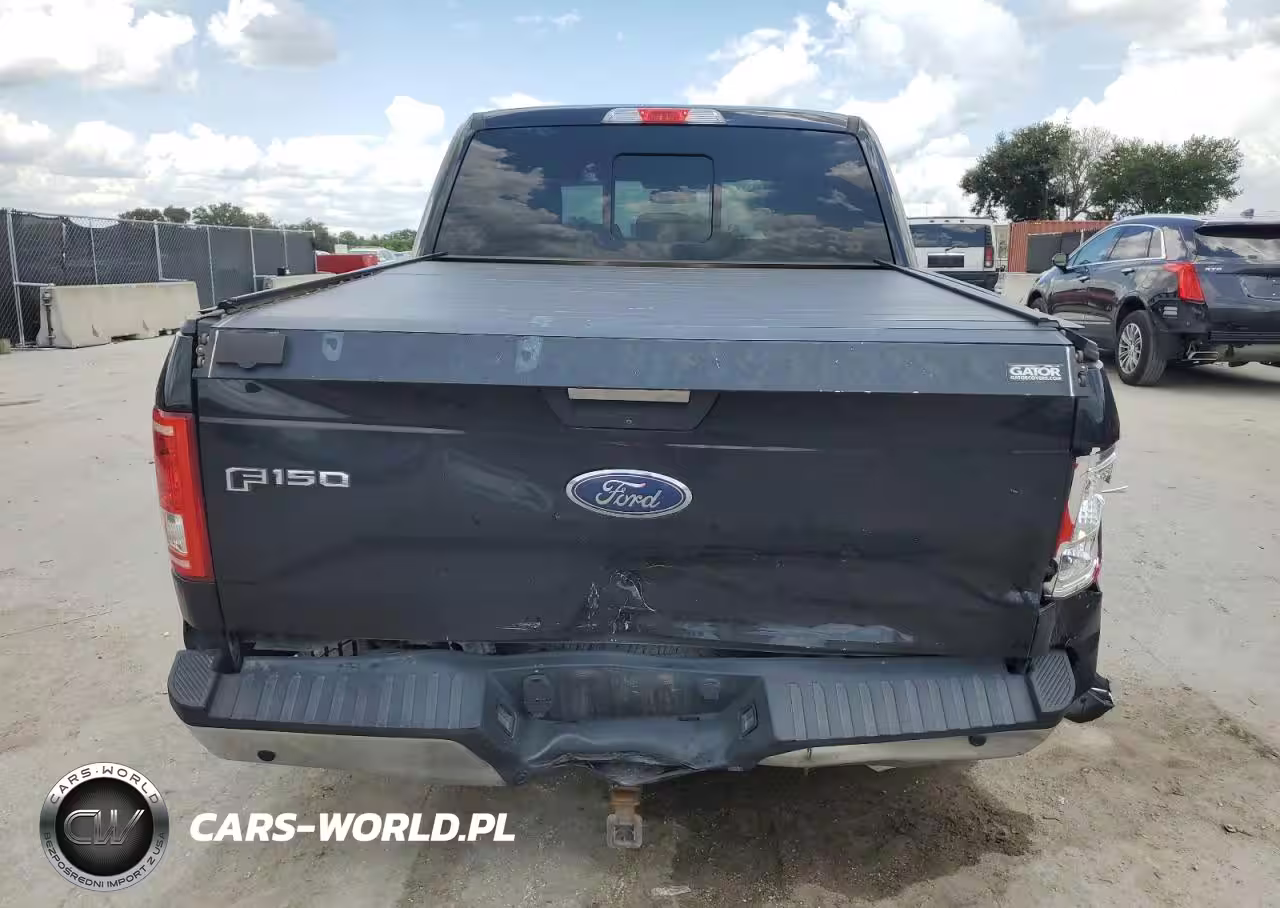 2017 Ford F150 Supercrew VIN:1FTEW1CP4HFA71245 - 6
