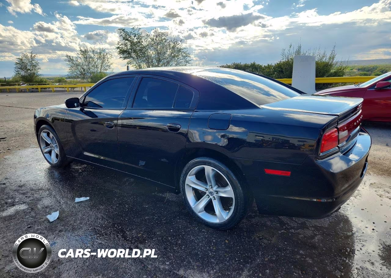 2014 Dodge Charger Police VIN:2C3CDXAT1EH343684 - 2