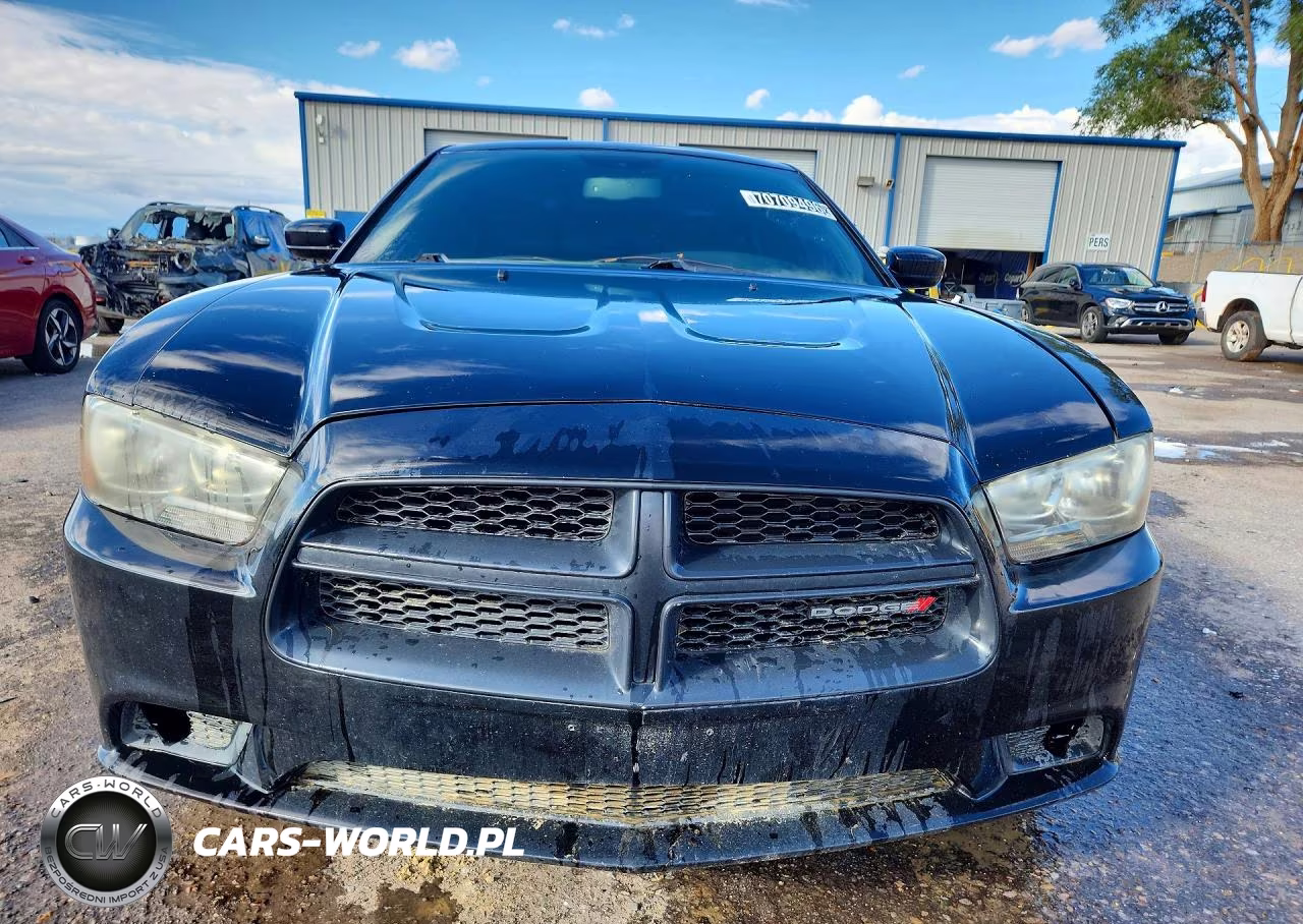 2014 Dodge Charger Police VIN:2C3CDXAT1EH343684 - 5