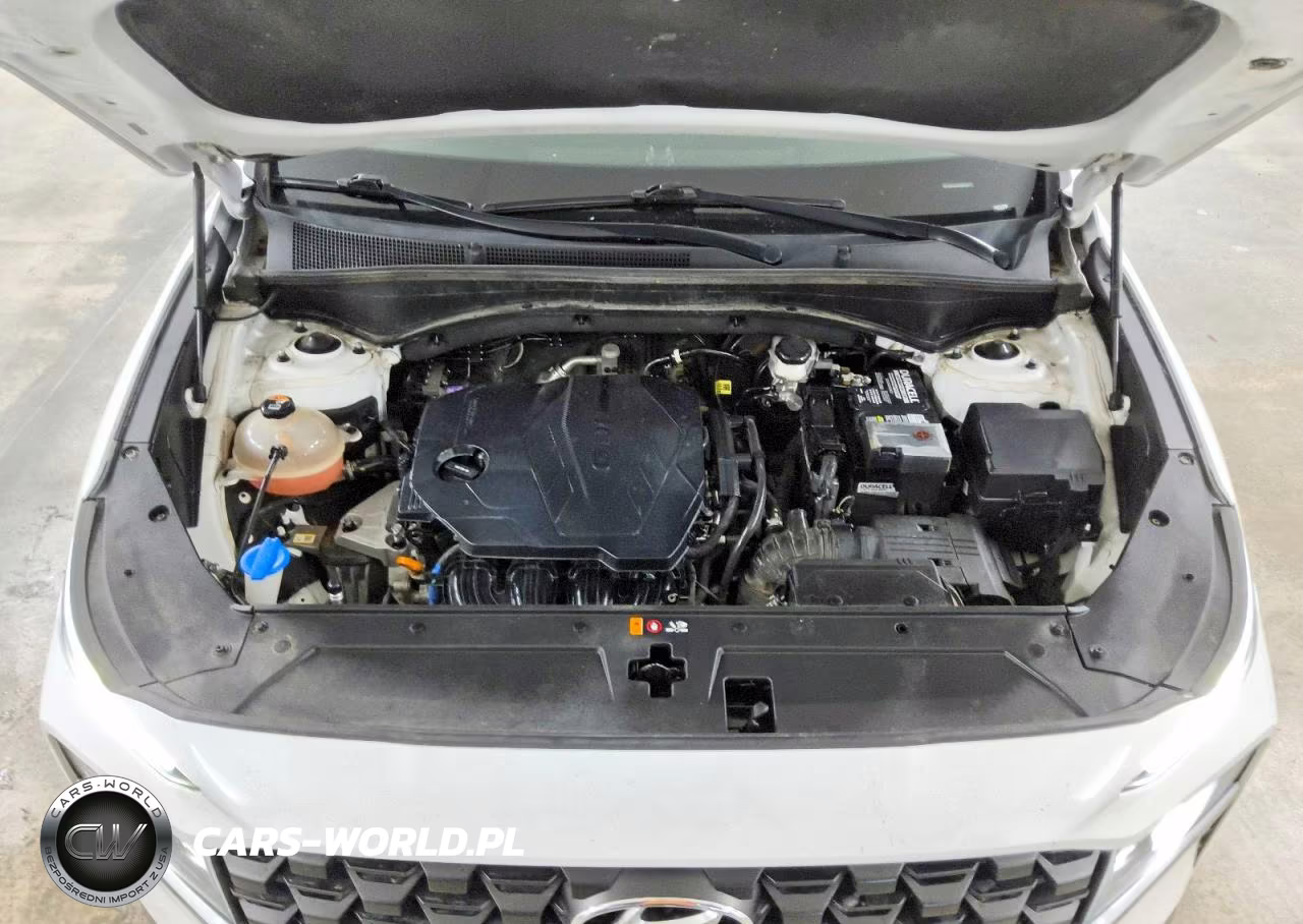 2023 Hyundai Santa Fe Sel VIN:5NMS24AJ2PH547914 - 12