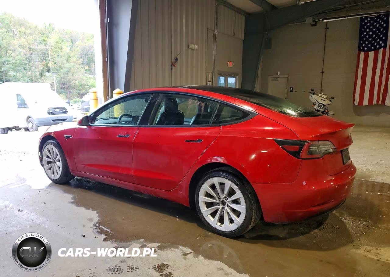 2022 Tesla Model 3 VIN:5YJ3E1EA7NF288338 - 2