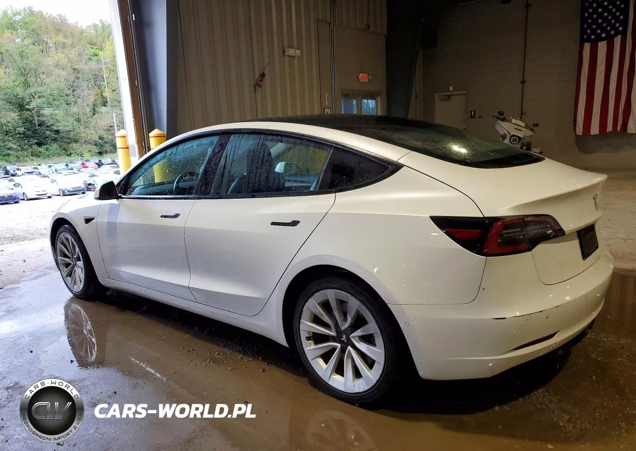 2022 Tesla Model 3 VIN:5YJ3E1EA5NF372335 - 2