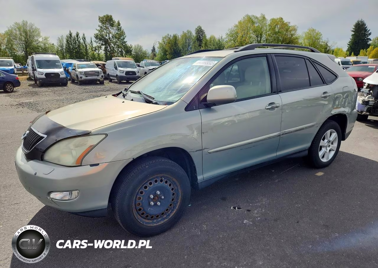 2004 Lexus Rx 330 VIN:JTJHA31U540024185 - 1