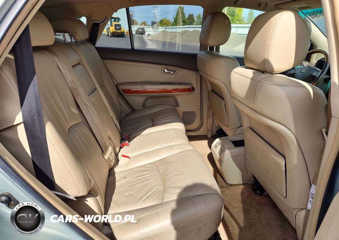 2004 Lexus Rx 330 VIN:JTJHA31U540024185 - 10