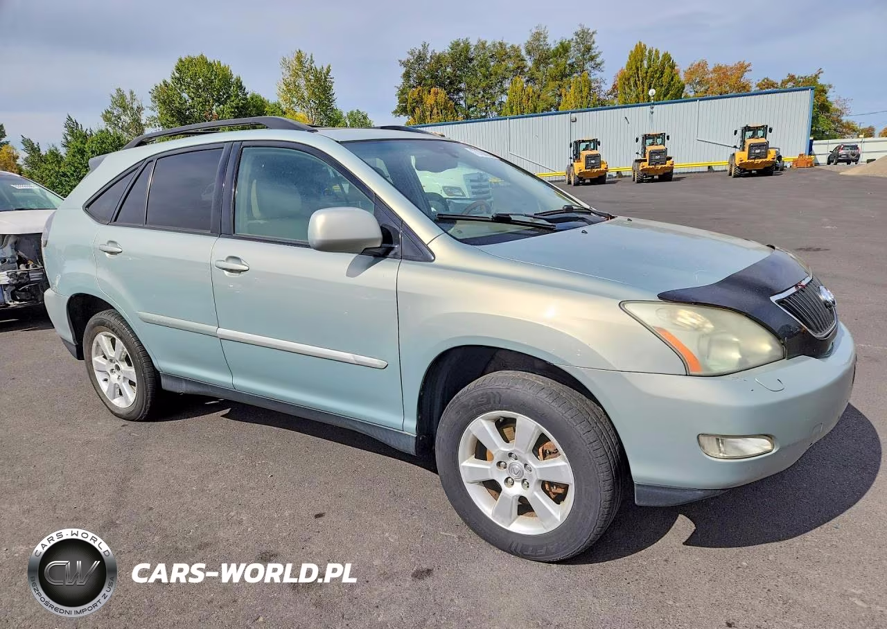 2004 Lexus Rx 330 VIN:JTJHA31U540024185 - 4