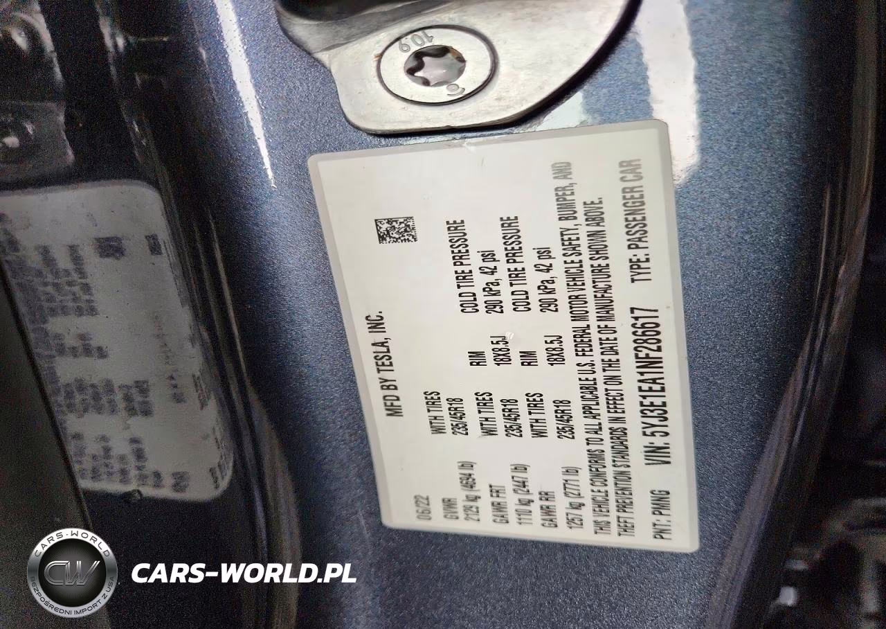 2022 Tesla Model 3 VIN:5YJ3E1EA1NF286617 - 12