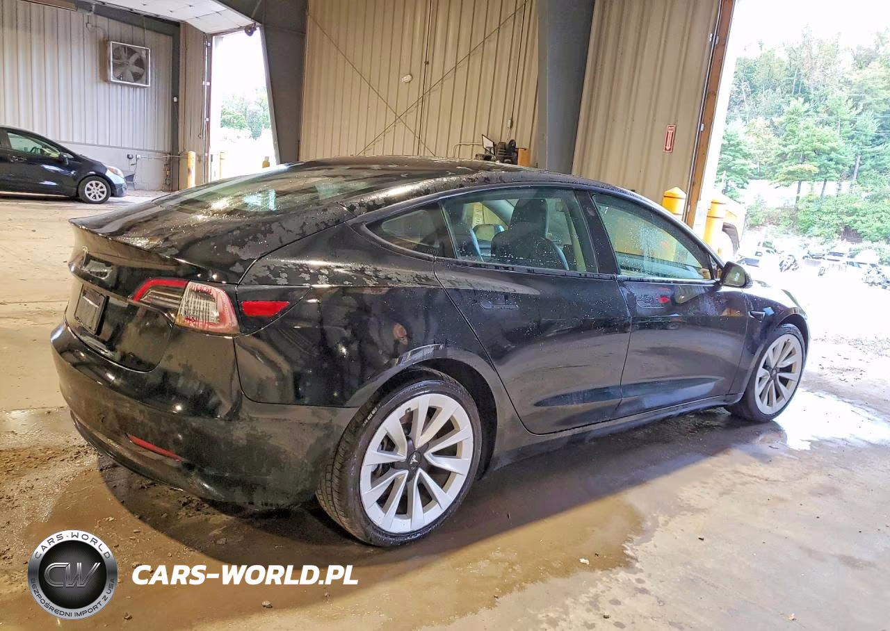 2023 Tesla Model 3 VIN:5YJ3E1EA3PF435404 - 3