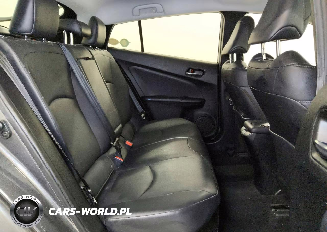2019 Toyota Prius Xle VIN:JTDKARFU6K3083651 - 10