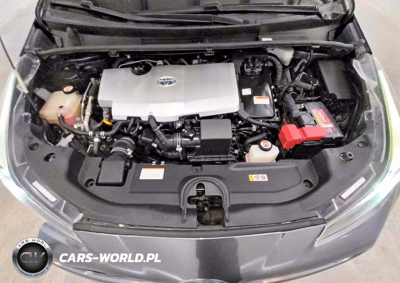 2019 Toyota Prius Xle VIN:JTDKARFU6K3083651 - 11