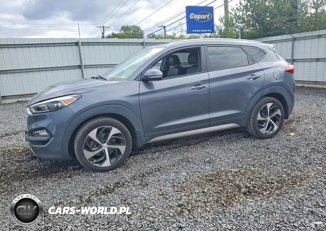 2017 Hyundai Tucson Limited VIN:KM8J3CA21HU346328 - 1