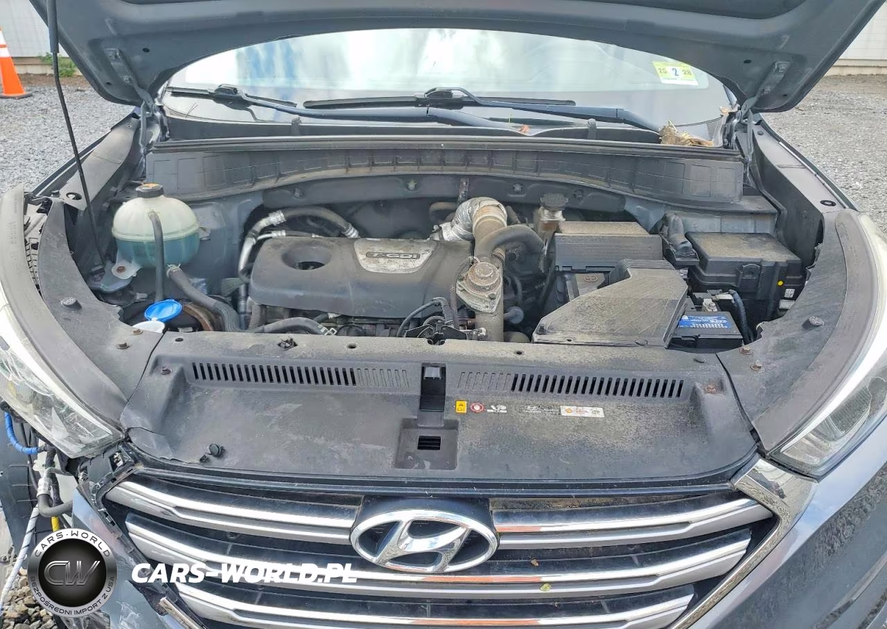 2017 Hyundai Tucson Limited VIN:KM8J3CA21HU346328 - 12