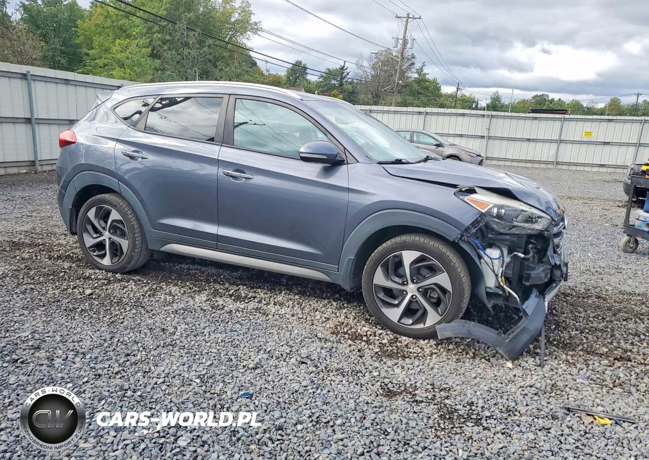 2017 Hyundai Tucson Limited VIN:KM8J3CA21HU346328 - 4