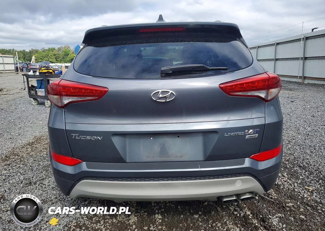 2017 Hyundai Tucson Limited VIN:KM8J3CA21HU346328 - 6