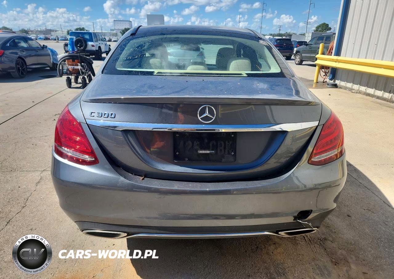 2017 Mercedes-Benz C 300 VIN:55SWF4JB8HU204640 - 6
