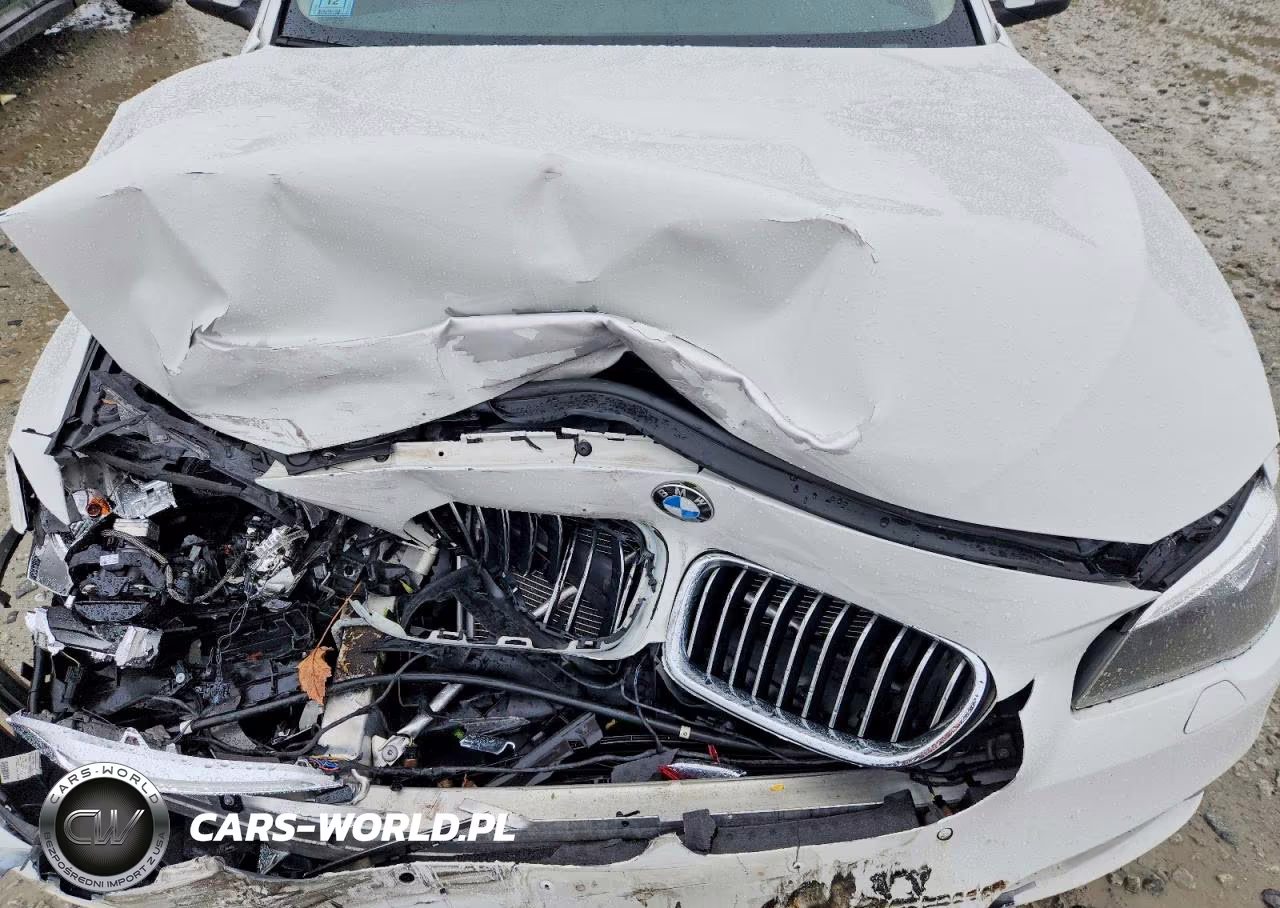 2015 BMW 528 Xi VIN:WBA5A7C50FG142509 - 11