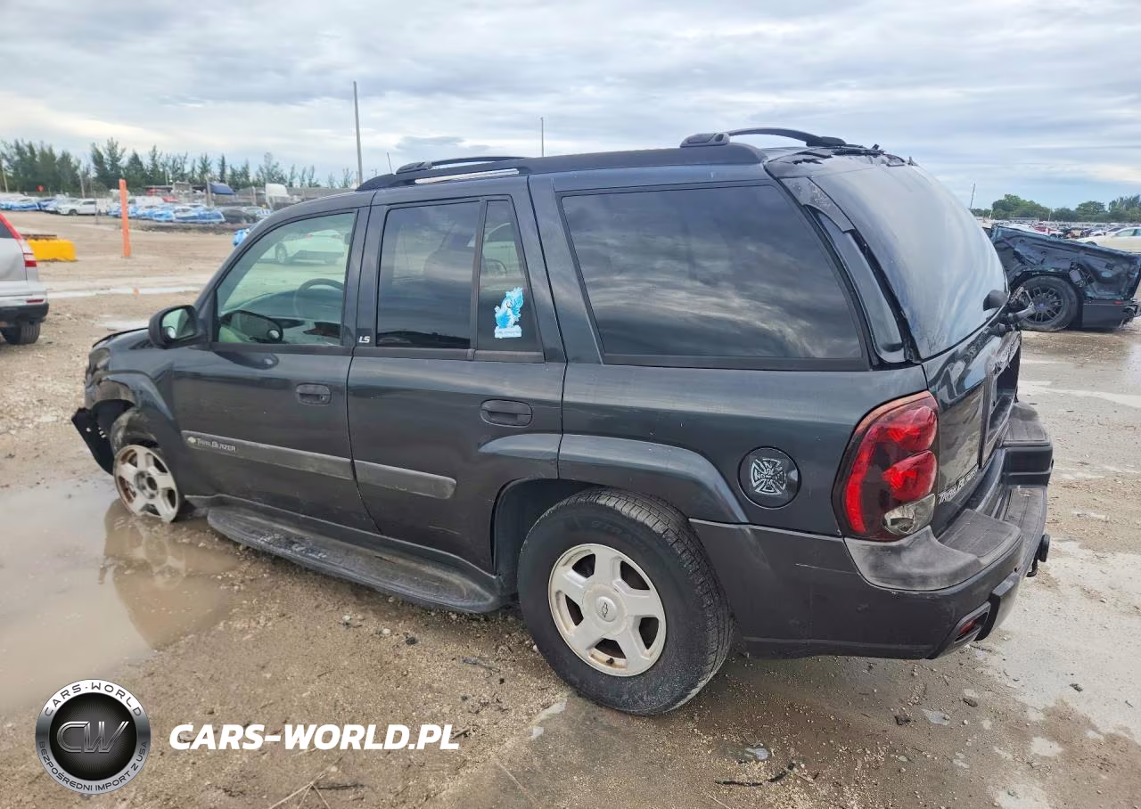 2003 Chevrolet Trailblazer VIN:1GNDS13S232256624 - 2
